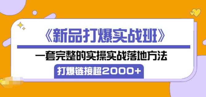 凌童《新品打爆实战班》,一套完整的实操实战落地方法,打爆链接超2000+(28节课)-创业信息网