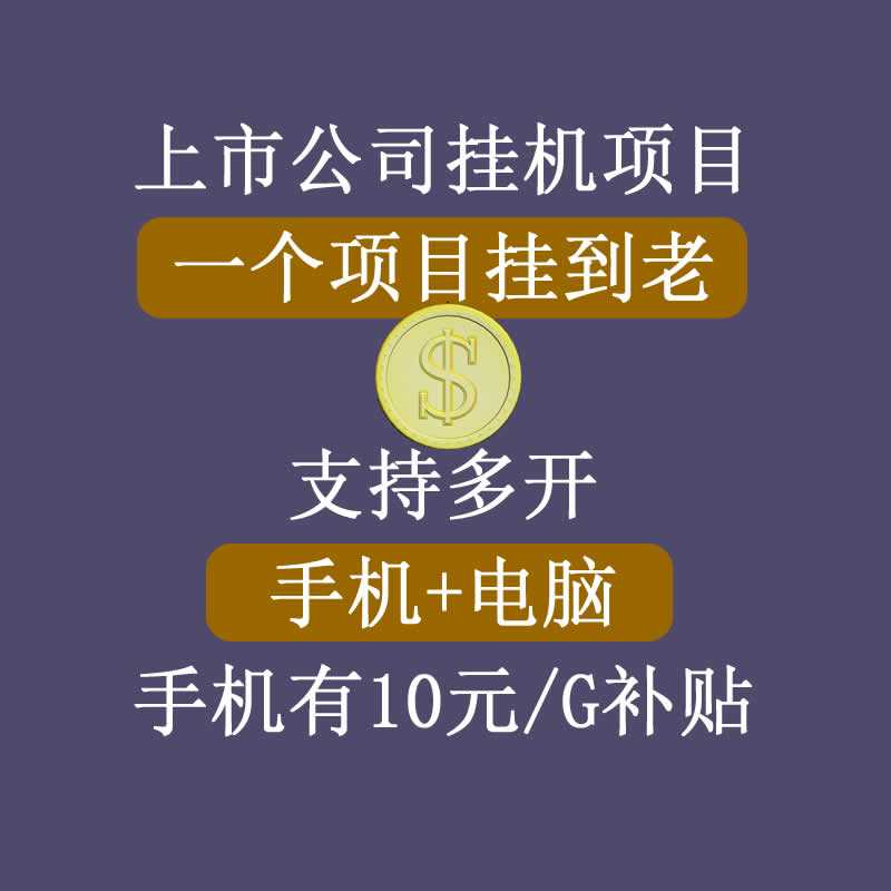 正规挂机项目,支持手机电脑一起挂,支持虚拟机多开,可以挂到老-创业信息网