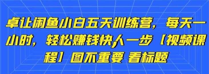 卓让《闲鱼项目小白五天训练营》每天一小时,轻松赚钱快人一步