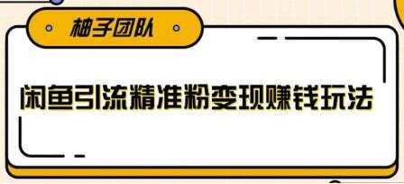 闲鱼引流精准粉变现赚钱玩法,每天可以引流精准粉100+