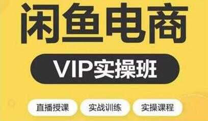 闲鱼副业项目月入过万进阶课程,教你掌握闲鱼电商所需的各项技能