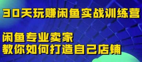 《30天玩赚闲鱼实战训练营》闲鱼专业卖家教你如何打造自己店铺