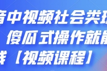 抖音中视频社会类玩法,傻瓜式操作就能赚钱【视频课程】-创业信息网