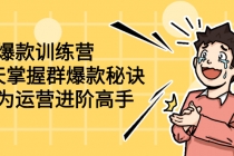 群爆款训练营:8天掌握群爆款秘诀,成为运营进阶高手-创业信息网