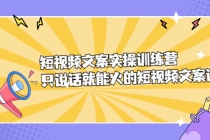 短视频文案实训操练营，只说话就能火的短视频文案课-创业信息网