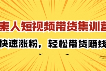素人短视频带货集训营:快速涨粉,轻松带货赚钱-创业信息网