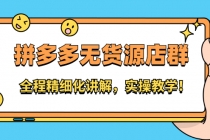 拼多多无货源店群：全程精细化讲解，实操教学！-创业信息网