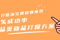 打造淘宝爆款训练营，90%成功率：全品类新品打爆方案-创业信息网