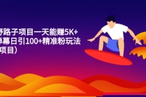15个野路子项目一天能赚5K+直播弹幕日引100+精准粉玩法-创业信息网