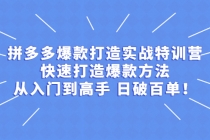 拼多多爆款打造实战特训营:快速打造爆款方法,从入门到高手 日破百单-创业信息网