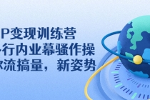 IP变现训练营:N多行内业幕骚作操,教你流搞量,新姿势!-创业信息网