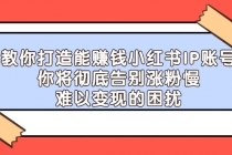 教你打造能赚钱小红书IP账号：你将彻底告别涨粉慢，难以变现的困扰-创业信息网