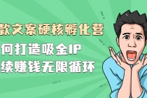 『爆款文案硬核孵化营』如何打造吸金IP,持续赚钱无限循环-创业信息网