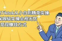 2022Tiktok从小白到精英实操，0-1保姆级实操全程无忧，多种变现赚钱方式-创业信息网