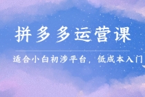 拼多多运营课，适合小白初涉平台，低成本入门 创造销量和利润的方法-创业信息网