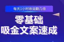 零基础吸金文案速成:小白也可以写出爆款文章,每天一小时收益翻几倍-创业信息网