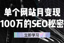 单个网站月变现100万的SEO秘密：如何百分百做出赚钱站点-创业信息网