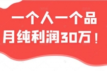 某公众号付费文章：一个人一个品月纯利润30万的蓝海电商经典案例！-创业信息网