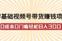 零基础视频号带货赚钱项目，0成本0门槛轻松日入300+【视频教程】-创业信息网