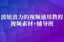 波妞波力的视频通用教程+视频素材+辅导班-创业信息网