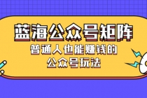 蓝海公众号矩阵:普通人也能赚钱的公众号玩法,月入过N万-创业信息网