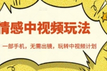 北北情感中视频玩法,一部手机,无需出镜,玩转中视频计划-创业信息网