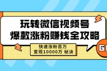 玩转微信视频号爆款涨粉赚钱全攻略,快速涨粉百万 变现10000万 秘诀-创业信息网