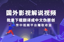 国外影视解说视频，批量下载翻译成中文伪原创，传中视频平台赚取收益-创业信息网