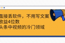 直接丢软件，不用写文案，收益4位数头条中视频的冷门领域-创业信息网