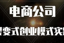《电商公司裂变式创业模式实践》开拓更多项目 赚更多的钱-创业信息网