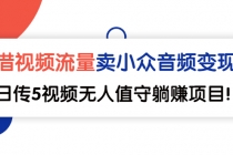 借视频流量,卖小众音频变现,日传5视频无人值守躺赚项目!-创业信息网