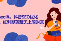 抖音seo课,抖音SEO优化大热,红利期蕴藏无上限财富-创业信息网