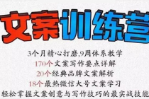《文案训练营》全面系统解决文案写作难题-创业信息网
