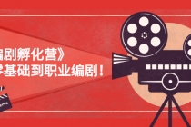 《编剧孵化营》从零基础到职业编剧！-创业信息网
