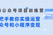 蓝海公众号项目训练营,手把手教你实操运营公众号和小程序变现-创业信息网