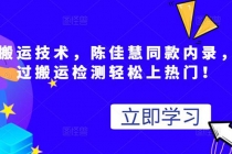 最新搬运技术视频替换，陈佳慧同款内录，测试最高跑了2亿-创业信息网