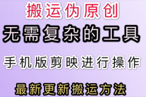5月刚出来的最新:抖音+快手搬运技术,无需复杂工具,纯小白可操作-创业信息网