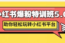 小红书爆粉特训班5.0，助你轻松玩转小红书平台价值1380元-创业信息网