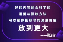 张sir账号流量增长课,告别海王流量,让你的流量更精准-创业信息网