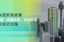 TikTok进阶实战课:账号详解,流量运营,实战变现,助力你成功出海-创业信息网