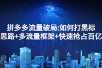 拼多多流量破局:如何打黑标，爆款思路+多流量框架+快速抢占百亿流量-创业信息网