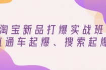 淘宝新品打爆实战班，直通车起爆、搜索起爆-创业信息网