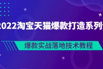 2022淘宝天猫爆款打造系列课:爆款实战落地技术教程-创业信息网