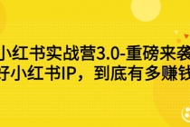 小红书实战营3.0-重磅来袭:做好小红书IP,到底有多赚钱?-创业信息网