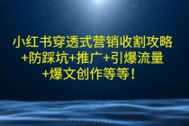 小红书穿透式营销收割攻略+防踩坑+推广+引爆流量+爆文创作等等!-创业信息网