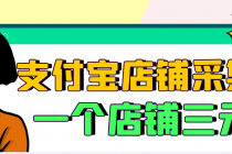 【信息差项目】支付宝店铺采集项目，只需拍三张照片，轻松日赚300-500-创业信息网