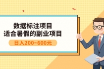 数据标注项目:适合暑假的副业兼职项目,日入200~600元-创业信息网