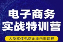 电子商务实战特训营,全方位带你入门电商,308种方式玩转电商-创业信息网