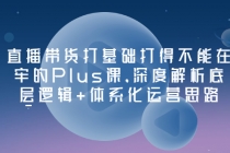 直播带货打基础打得不能在牢的Plus课,深度解析底层逻辑+体系化运营思路-创业信息网