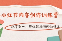 【小红书内容创作训练营】从零到一,带你轻松涨粉做博主-创业信息网